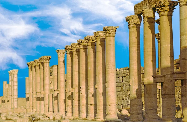 Стародавні міста Пальміри — стокове фото
