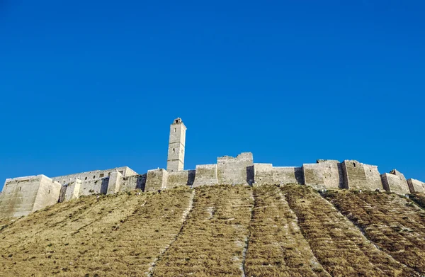 Síria. Crac des Chevaliers — Fotografia de Stock