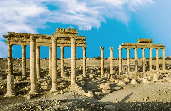 Ősi város Palmyra — Stock Fotó