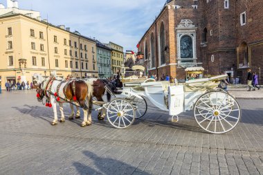 Krakow ana kare üzerinde Mariacki Kilisesi önünde at arabası