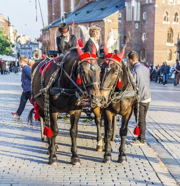 Kr 的主要广场上的 mariacki 教堂前的马车 — 图库照片