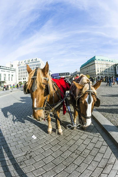 Повозка перед Бранденбургскими воротами — стоковое фото