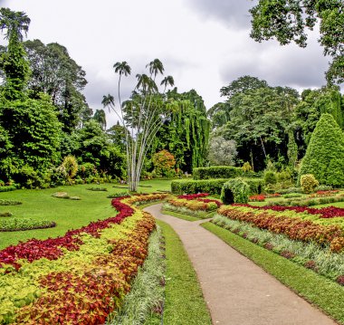 Peradeniya Botanik Bahçesi