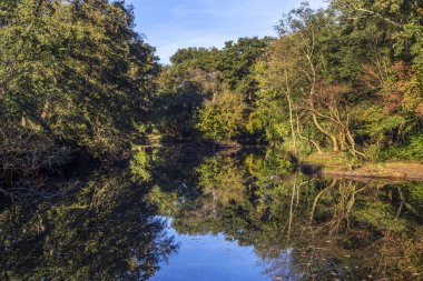 River Nidda Frankfurt'ta peyzaj