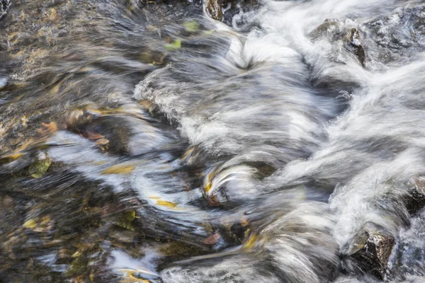 Perto de fluxo em pequeno riacho — Fotografia de Stock