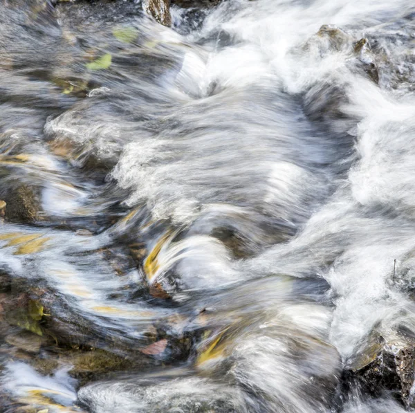 Perto de fluxo em pequeno riacho — Fotografia de Stock