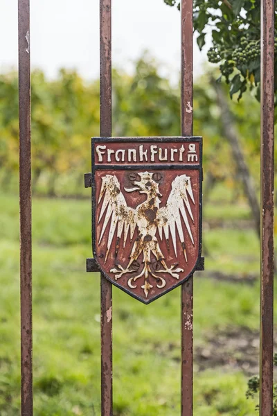 ホッホハイムのブドウ畑でフランクフルトの紋章 — ストック写真
