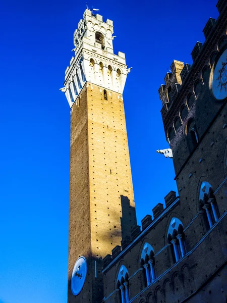 Вежі Торре-дель-Mangia. Siena.Italy — стокове фото