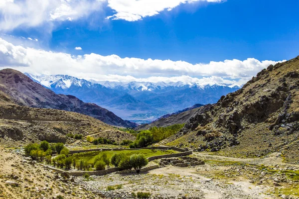 Landsbygdens landskap med himalaya bergen sett från Leh valley — Stockfoto