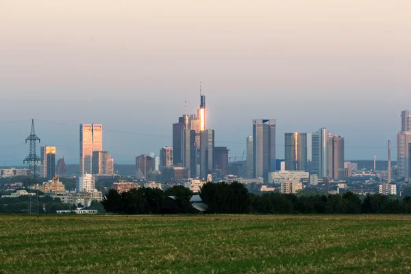 Frankfurt 'un ufuk çizgisi ve ön planda tarlalar — Stok fotoğraf