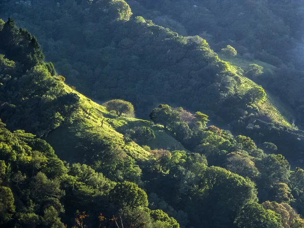 Панорамный вид на горы в Коста-Рике — стоковое фото