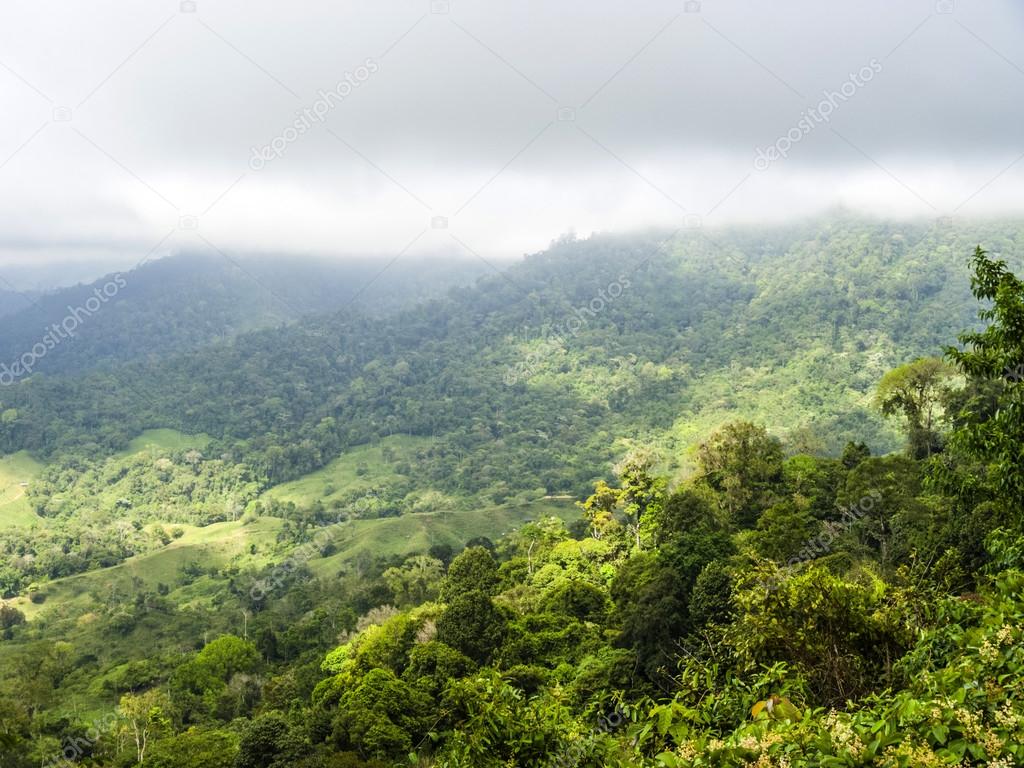 Windblown treetops in the rainforest of the Rio Celeste Valley i
