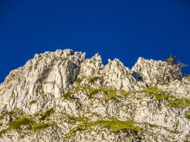 Alpler vercors alanında kayalıklarla 