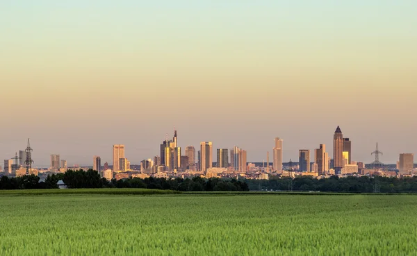 Blick auf Frankfurt am Main am Horizont — Stockfoto