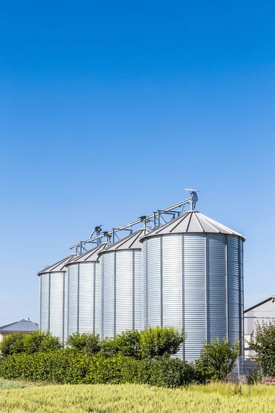 Four silver silos in field under bright sky — Stock Photo, Image