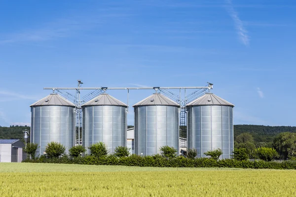 Vier zilveren silo's in veld onder heldere hemel — Stockfoto