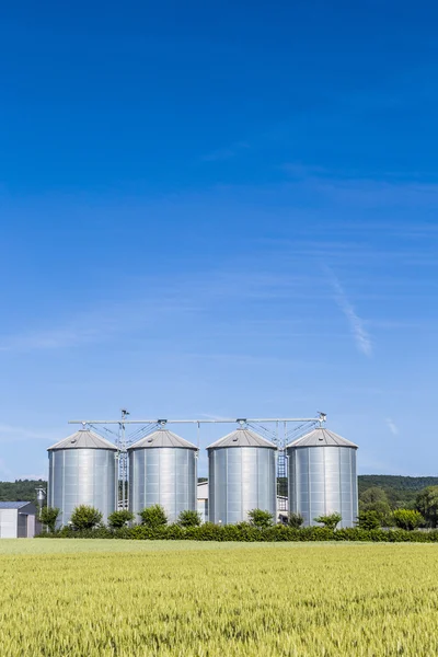 Quatro silos de prata no campo abaixo do céu brilhante — Fotografia de Stock
