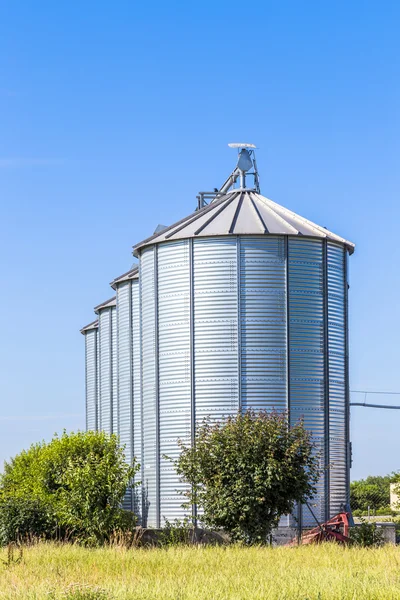 Vier zilveren silo's in veld onder heldere hemel — Stockfoto