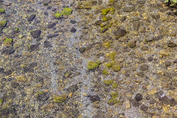 Деталь русла річки Трініті — стокове фото