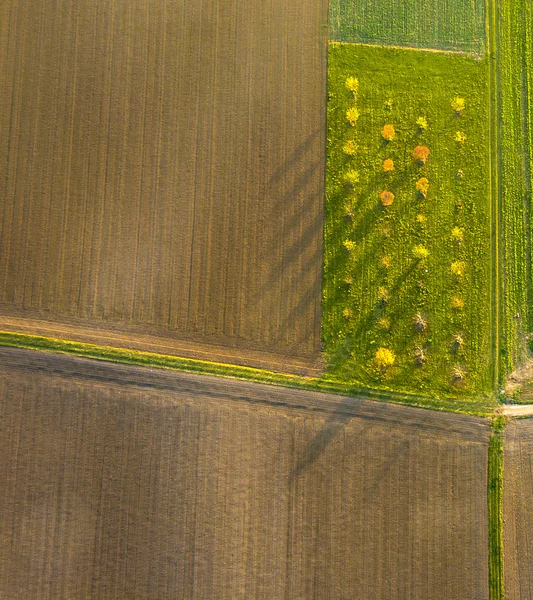 Antenn av landsbygdens landskap med mönster av fält i solnedgången — Stockfoto