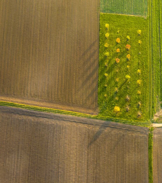 Antenn av landsbygdens landskap med mönster av fält i solnedgången — Stockfoto