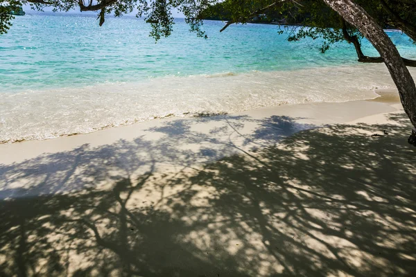 Tropical beach in  Thailand with trees — Stock Photo, Image