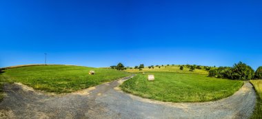 çayırlar ve ağaçları ile kırsal alan 