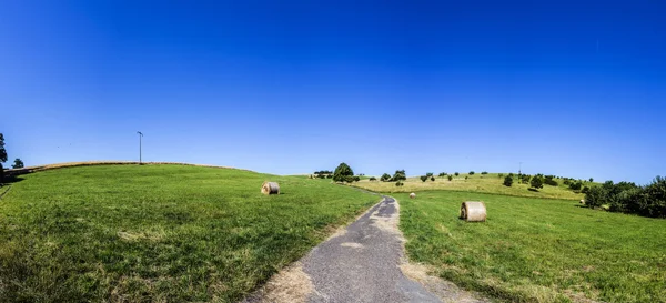 Rural area with meadows and trees — Stock Photo, Image