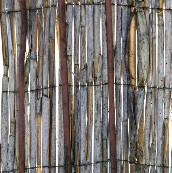 Abstract view of rotten reeds — Stock Photo, Image