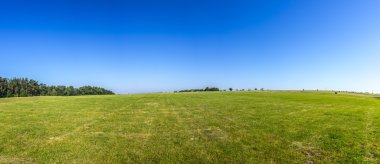 alanlar ve mavi gökyüzü ile kırsal manzara