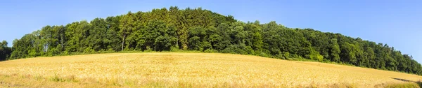 Paesaggio rurale con campi e cielo blu — Foto Stock