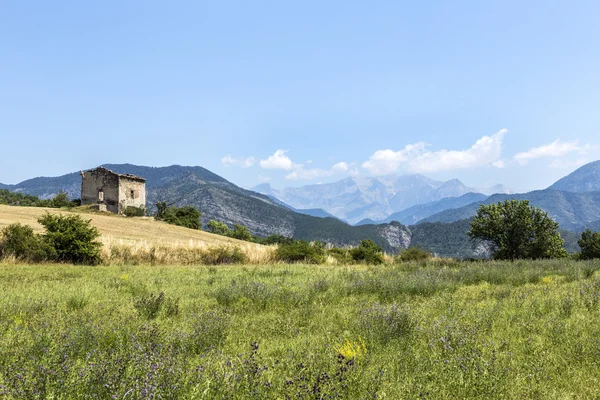 Paesaggio della Provenza con vista sulle Alpi — Foto Stock