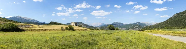 Champs de Provence avec vue sur les Alpes — Photo