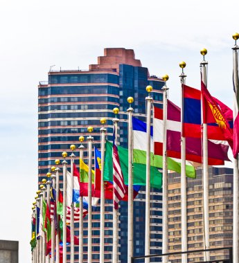 New York un üyelerinin bayrakları