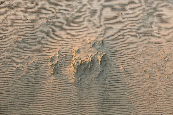 Gyönyörű hullámokat ő homokos strandon — Stock Fotó
