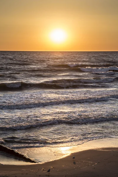 海と鳥の反射で太陽が昇る — ストック写真