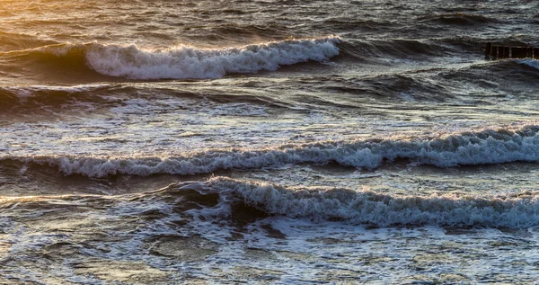Волнорезы у океана — стоковое фото