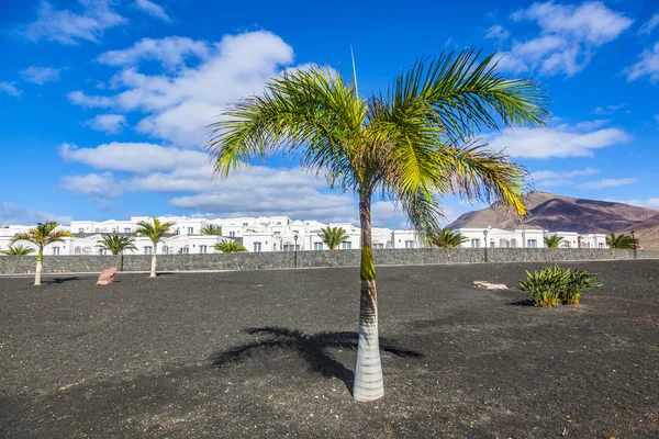 Appartementen met palmboom in Playa Blanca — Stockfoto