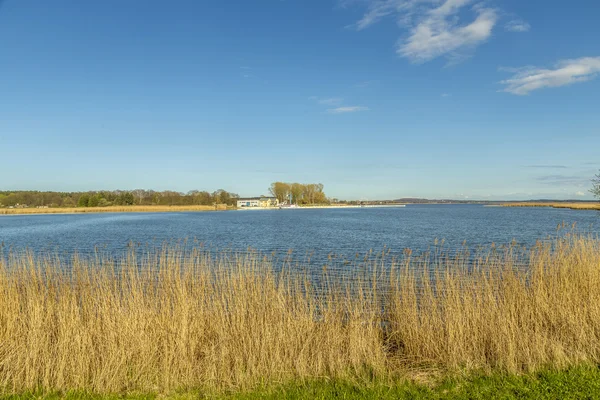 Petit port de Zinnowitz à l'arrière-plan — Photo