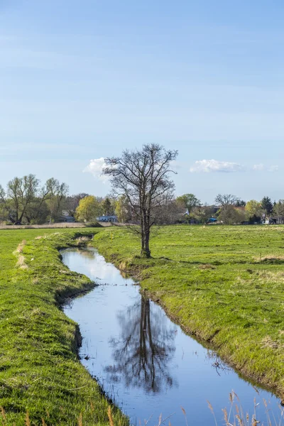 Petit ruisseau dans le paysage rural — Photo