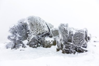rocks in the  snow in front of a blizzard  