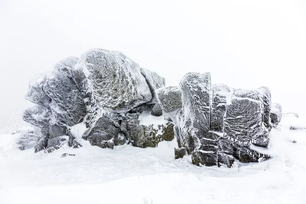 Rochers dans la neige devant un blizzard — Photo