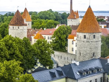 Tallinn, Estoni Old Town manzaralı yaz hava Panoraması