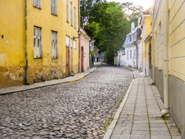 Tallinn Old Town görünümünü doğal yaz