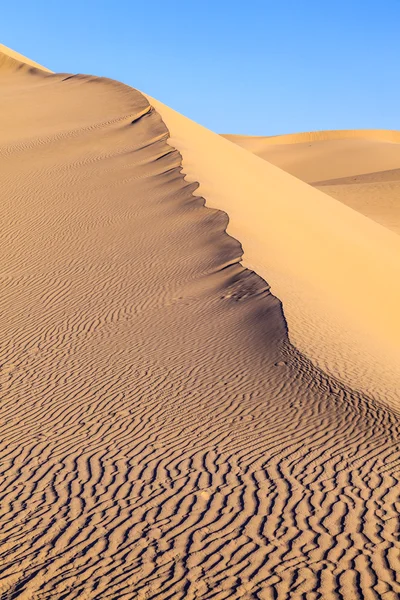 Dune di sabbia all'alba nel deserto — Foto Stock