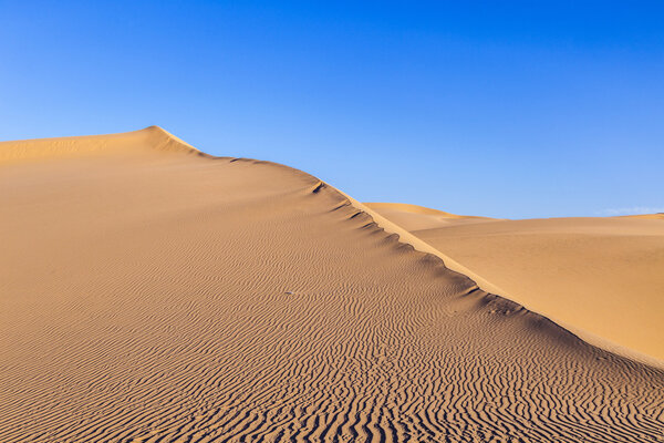  Песчаная дюна на восходе солнца в пустыне
