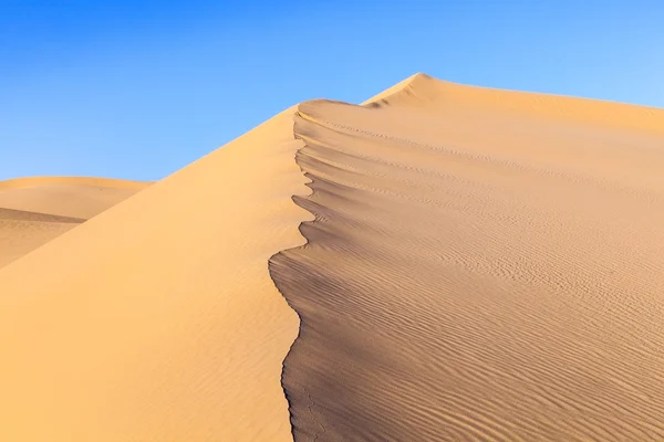 Duna de areia ao nascer do sol no deserto — Fotografia de Stock