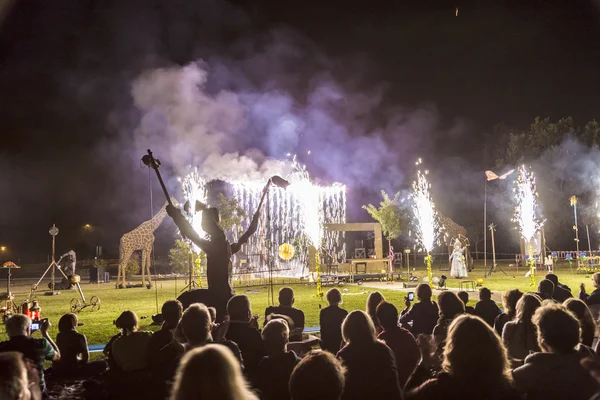 Tűzijáték Versailles Eschbornban újratöltve — Stock Fotó