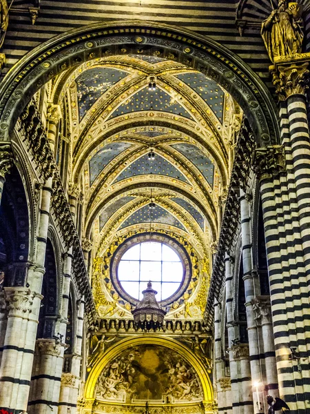 Teto de Siena Duomo, Itália — Fotografia de Stock