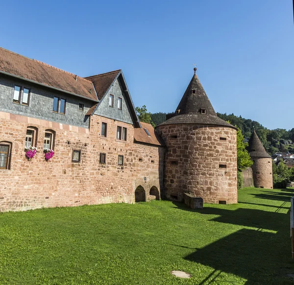 Vecchia cinta muraria a Buedingen — Foto Stock